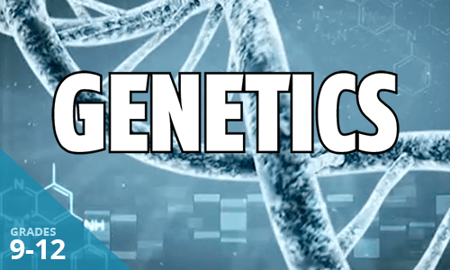 View the Lightbox Demo for Genetics