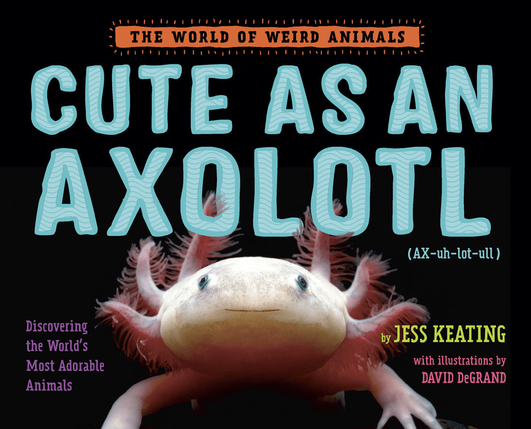 Cute as an Axolotl